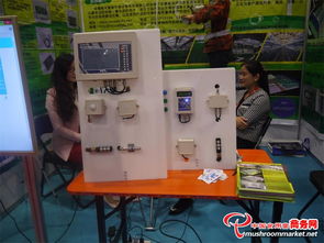 科技賦能 味蕾綻放——3000多項食用菌產品技術亮相青島會展，計量技術服務助力產業升級